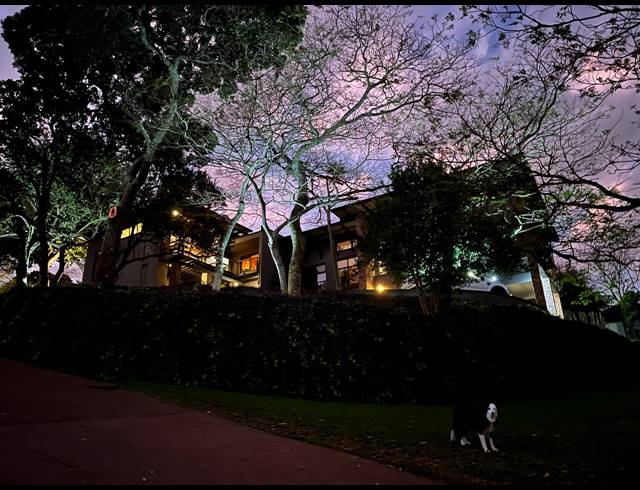 20 BEDROOM GATED ESTATE FOR SALE IN WESTVILLE